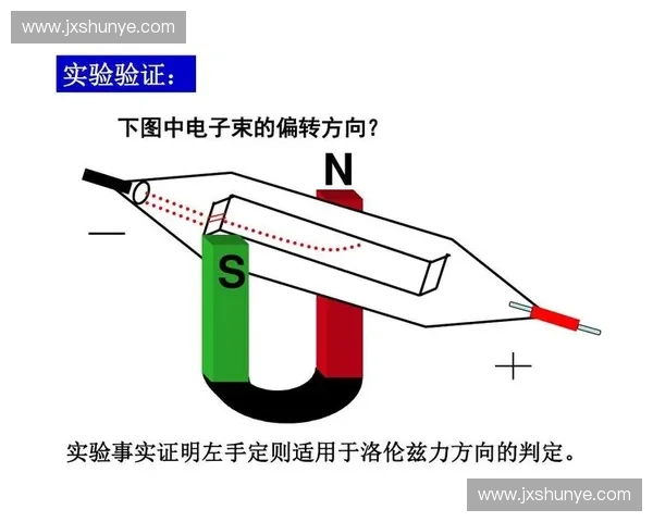 体力分配策略与效率优化在日常工作与运动中的应用研究